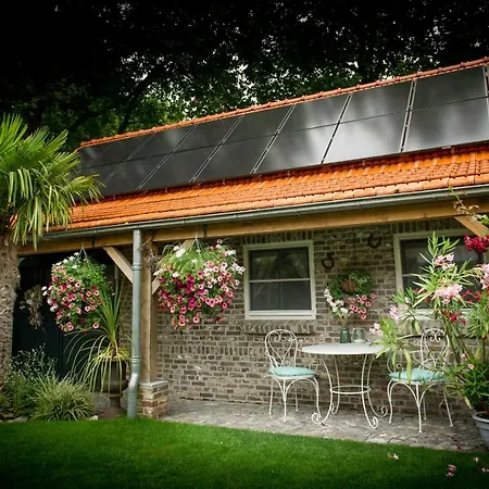 Piekoo Belloo Верт